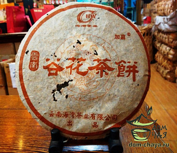 Коллекционный Шэн : Гу Хуа Ча Бин (Хай Вань) 1999г.