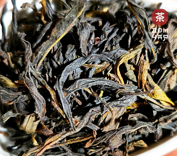 Юй Лань Сян Дань Цун «Аромат Магнолии» SHQ 2025