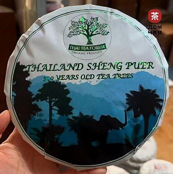 THAI TEA FOREST | Тайский Шэн с 500-летних деревьев 2025