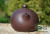 Исинский Чайник #267